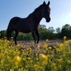 Meet your Posher, Alexandra